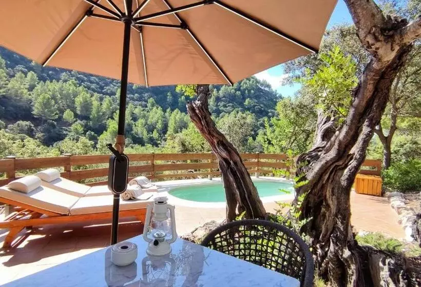 Fotos del hotel Ljs Ratxo Eco Luxury Retreat:  22