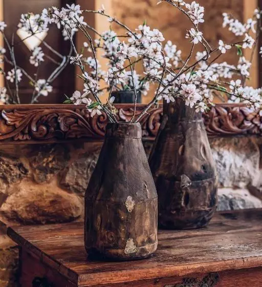 Fotos del hotel Ljs Ratxo Eco Luxury Retreat:  24