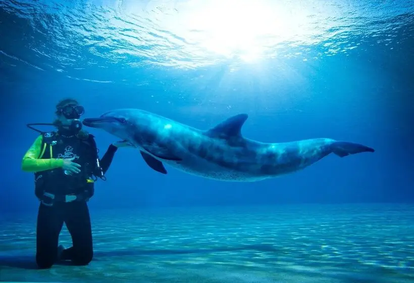 Fotos del hotel Atlantis The Palm, Dubai:  28