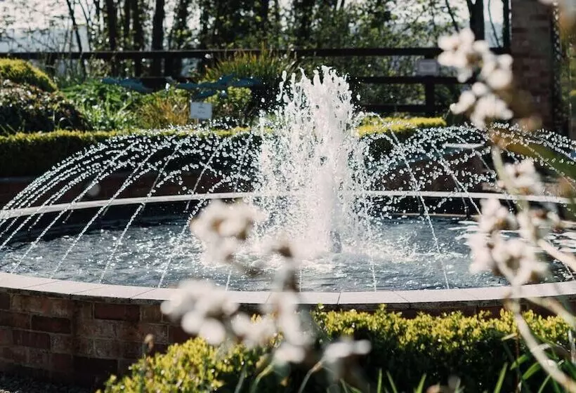 Fotos del hotel The Montenotte:  8