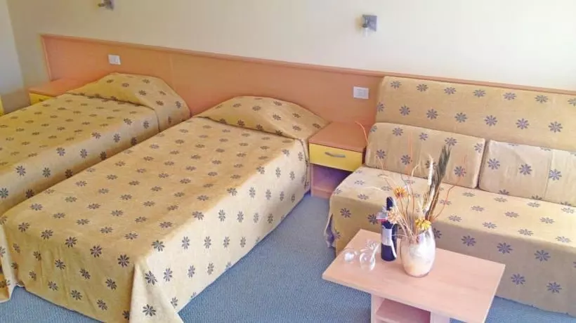 Fotos del hotel Hotel Kalofer:  14