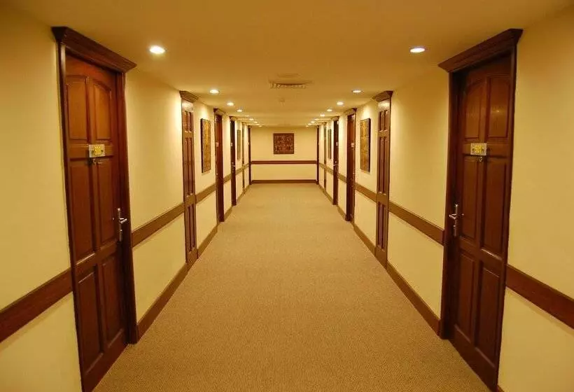 Fotos del hotel Mapple Abhay:  9