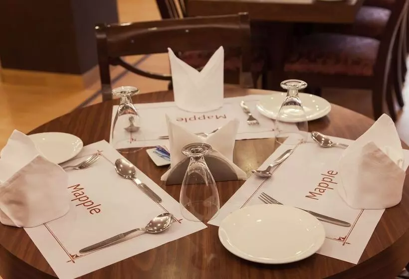 Fotos del hotel Mapple Abhay:  13