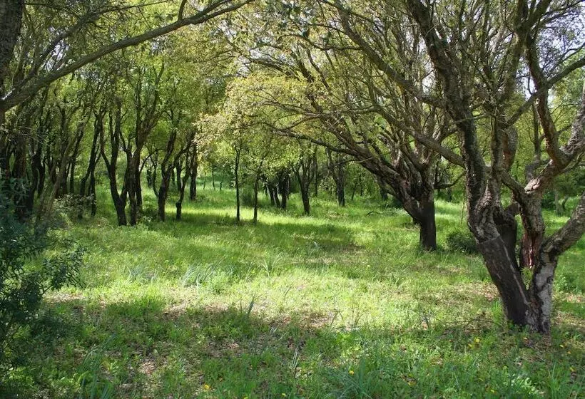 Fotos del hotel Sa Rocca:  7