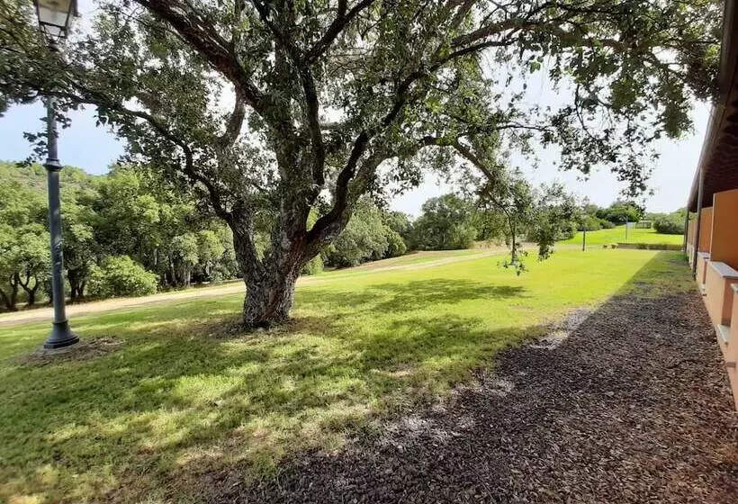 Fotos del hotel Sa Rocca:  8