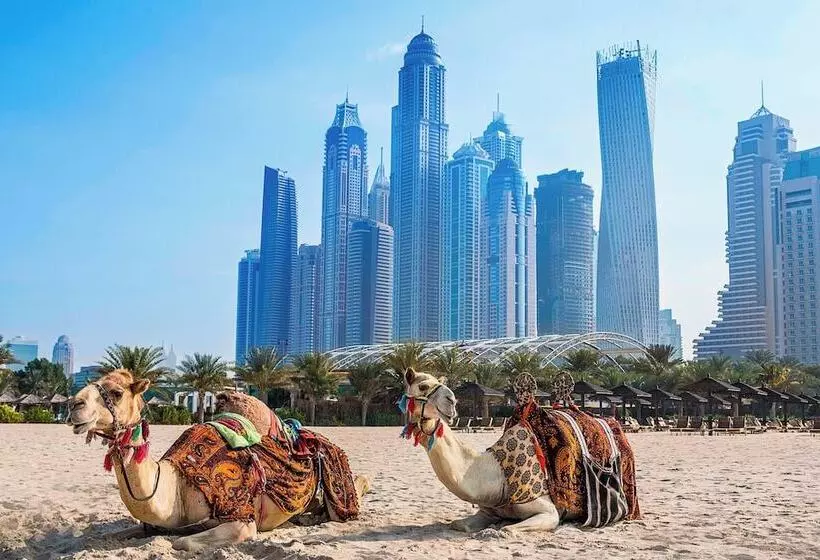 Fotos del hotel Habtoor Grand Resort, Autograph Collection:  53