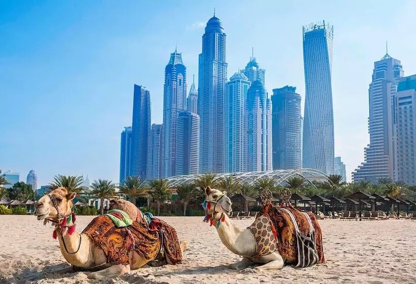 Fotos del hotel Habtoor Grand Resort, Autograph Collection:  11