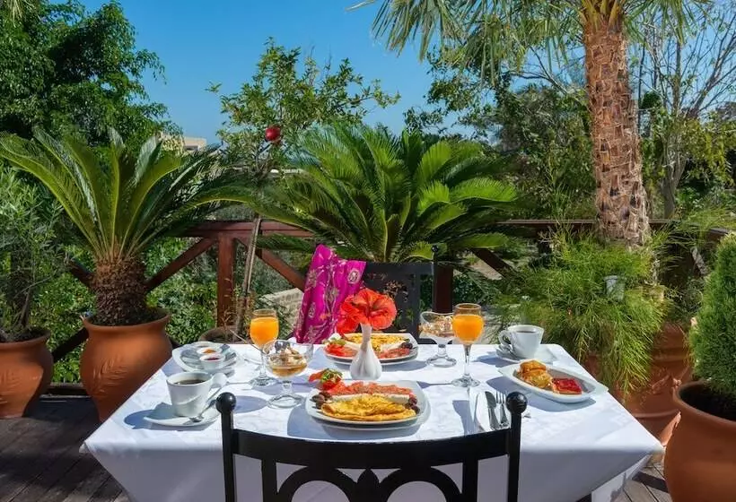 Fotos del hotel Nikos Takis Fashion Boutique:  19