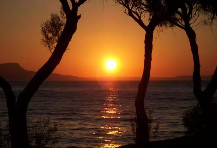 Fotos del hotel Palazzo Vecchio Exclusive Residence:  6