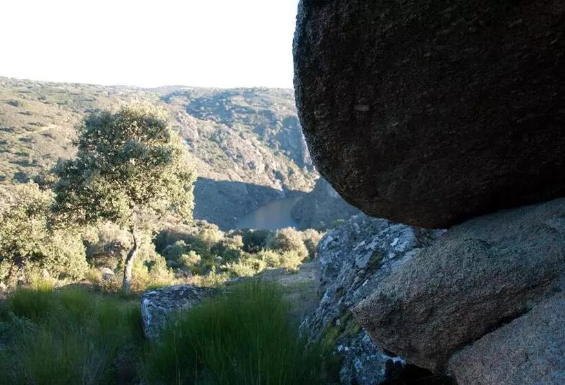 Fotos del hotel Posada Doña Urraca:  17