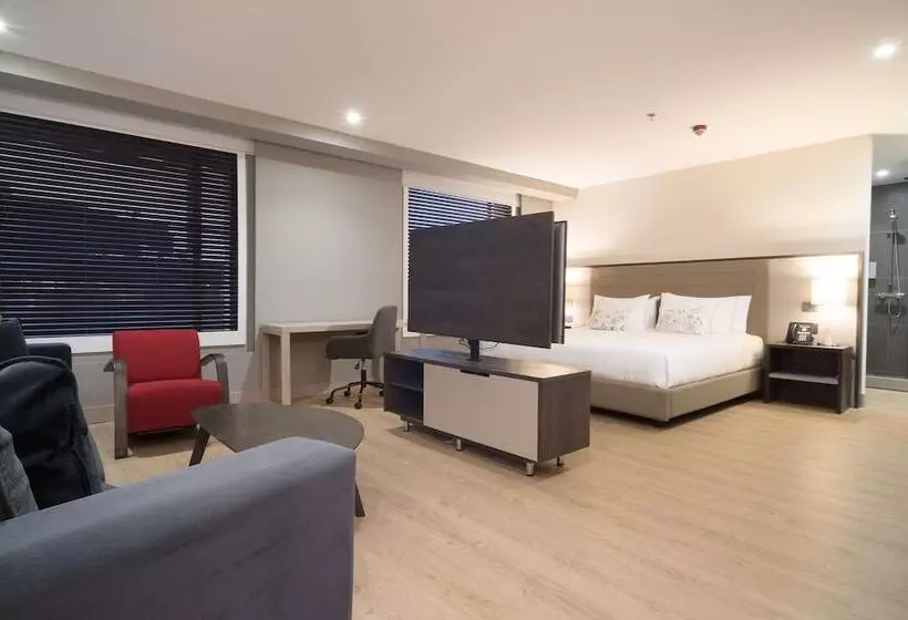 Fotos del hotel Habitel Prime:  24