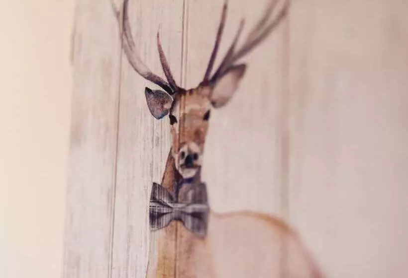 Fotos del hotel Acorn House:  9