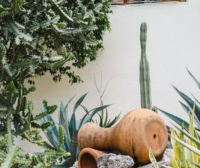 Fotos del hotel Ixchel Beach:  11