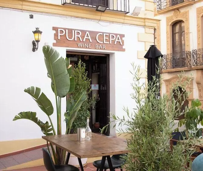 Fotos del hotel Palacio De Hemingway:  14