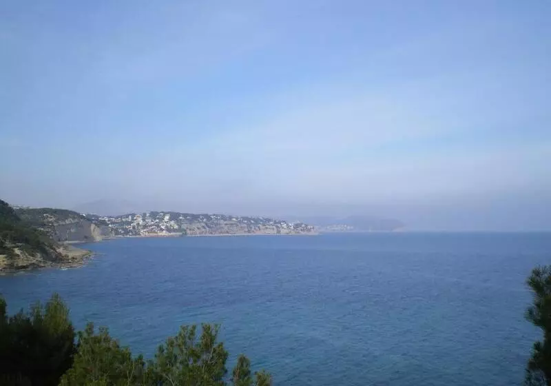 Fotos del hotel Los Limoneros:  12