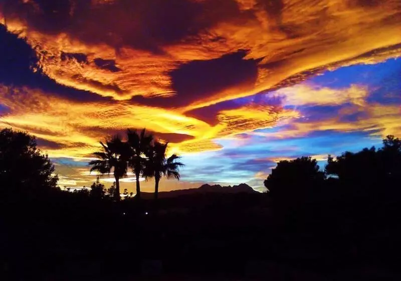 Fotos del hotel Los Limoneros:  7