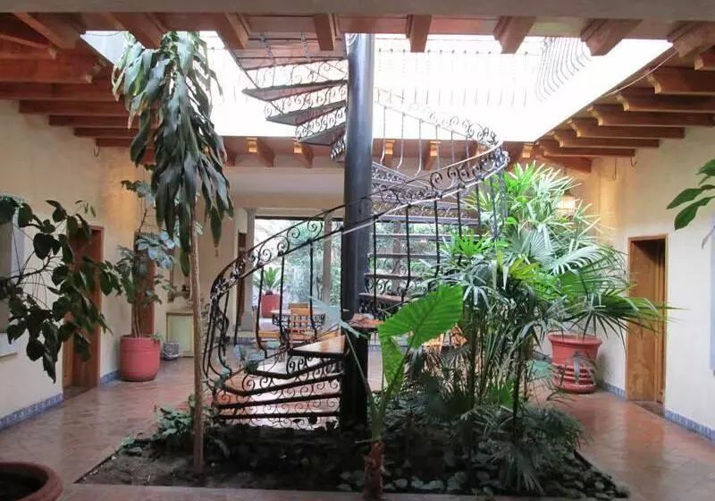 Fotos del hotel Casa Magica:  6