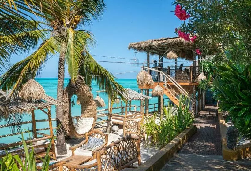 Fotos del hotel Coral Rock  & Restaurant:  23