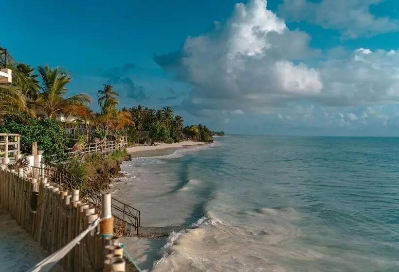 Fotos del hotel Coral Rock  & Restaurant:  8