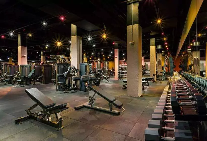 Fotos del hotel Boston Park Plaza:  5