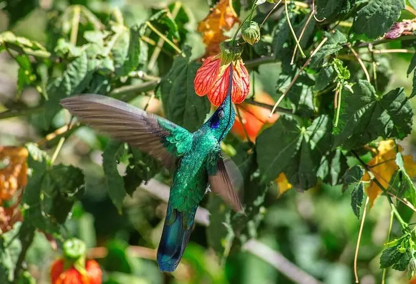 Fotos del hotel Taypikala Hotel Cusco:  12