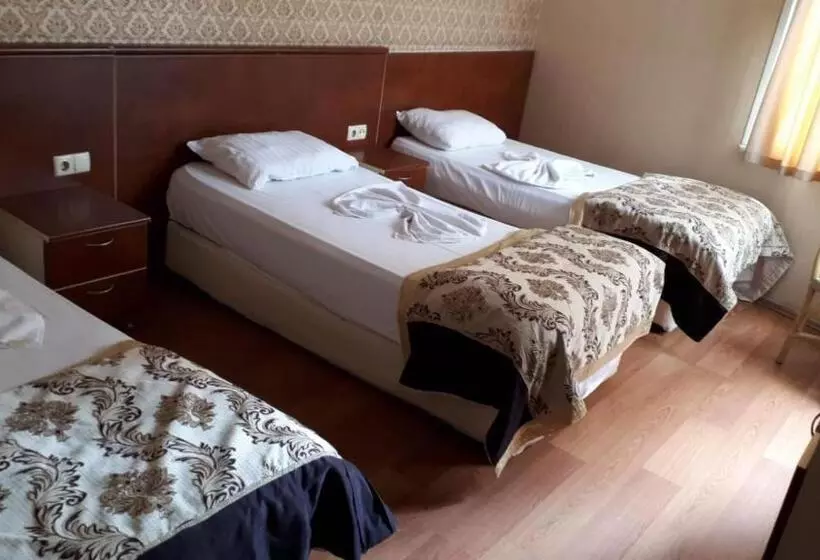 Fotos del hotel Turvan:  22