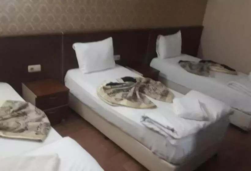 Fotos del hotel Turvan:  25