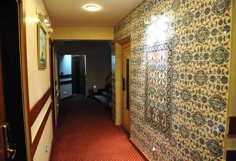 Fotos del hotel Turvan:  7