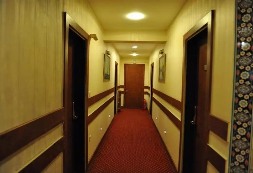 Fotos del hotel Turvan:  2