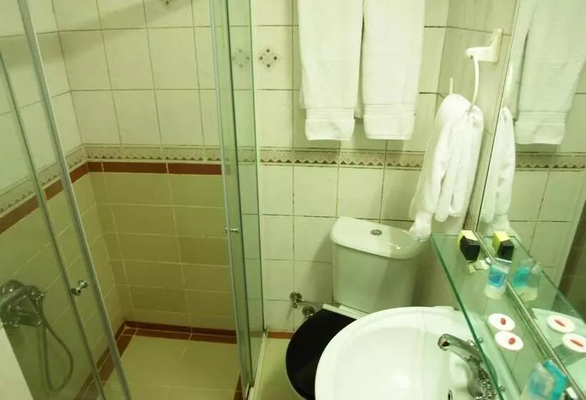 Fotos del hotel Turvan:  5