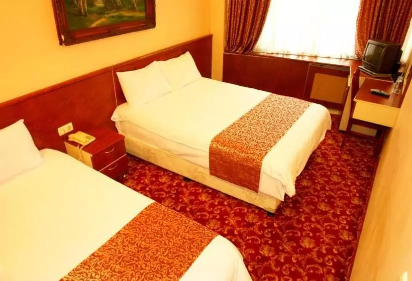 Fotos del hotel Turvan:  11