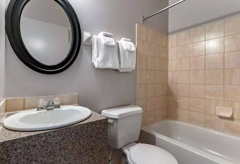 Fotos del hotel Elegant:  5