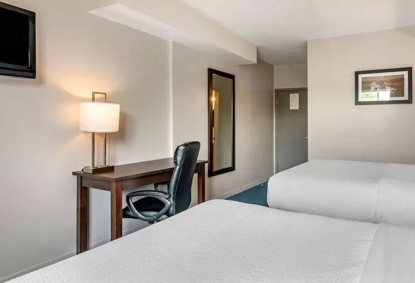 Fotos del hotel Elegant:  23