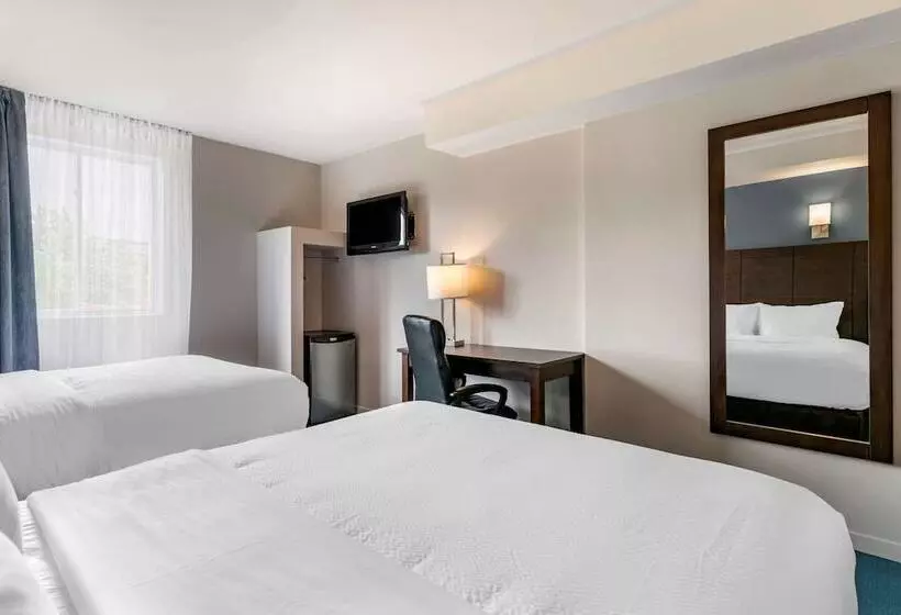 Fotos del hotel Elegant:  18