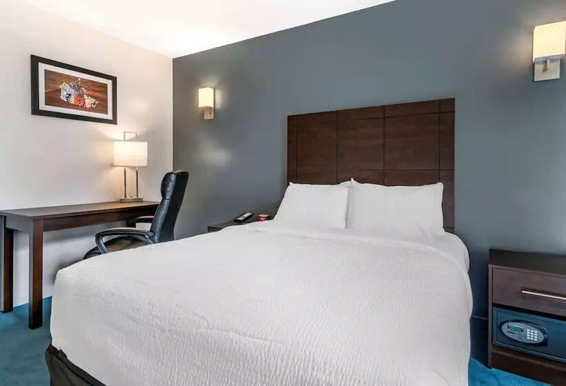 Fotos del hotel Elegant:  12