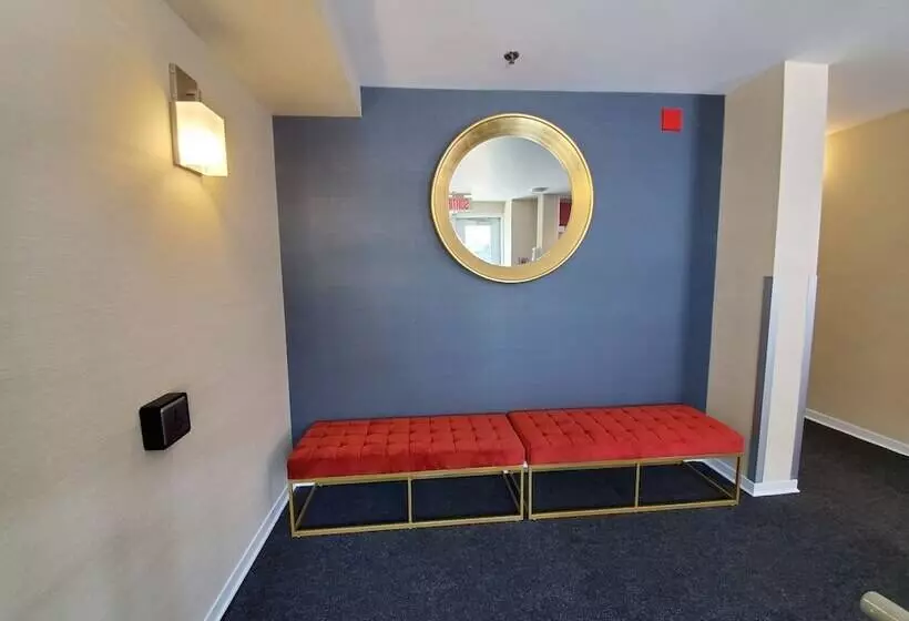 Fotos del hotel Elegant:  2