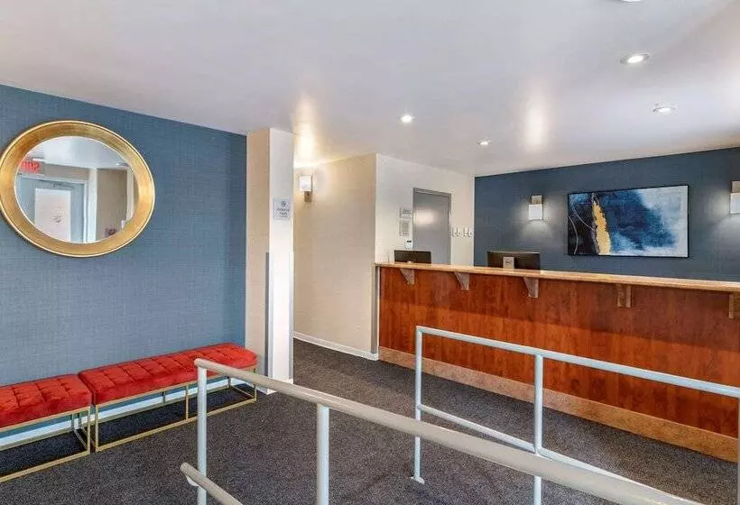 Fotos del hotel Elegant:  13