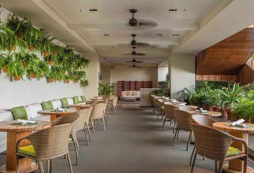 Fotos del hotel The Modern Honolulu By Diamond Resorts:  23