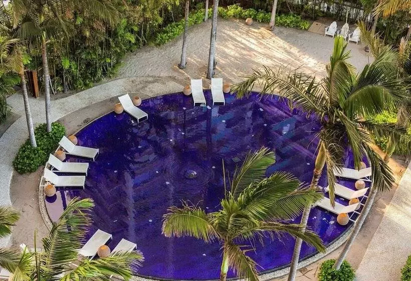 Fotos del hotel The Modern Honolulu By Diamond Resorts:  11