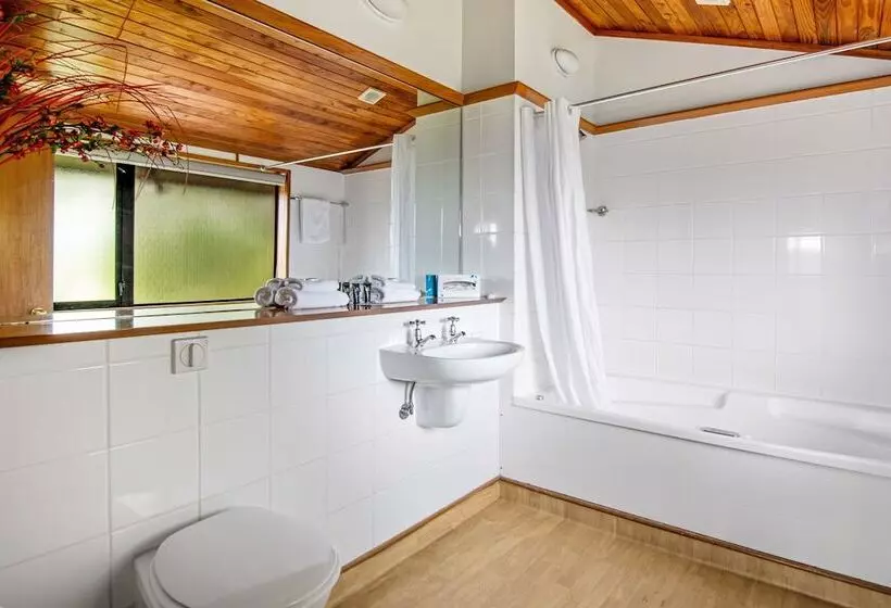 Fotos del hotel Quality Hotel Marlborough:  10