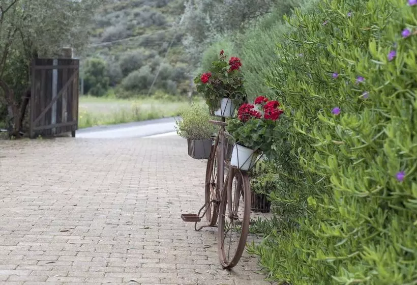Fotos del hotel Opora Country Living:  10