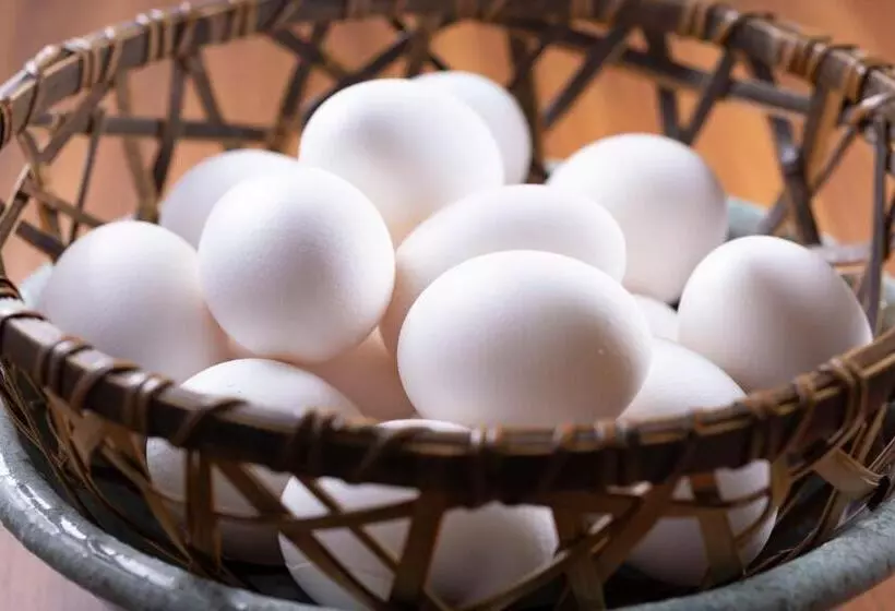 Fotos del hotel Lungwood:  11