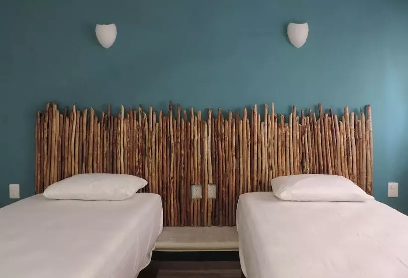 Fotos del hotel Casa Maxa:  6