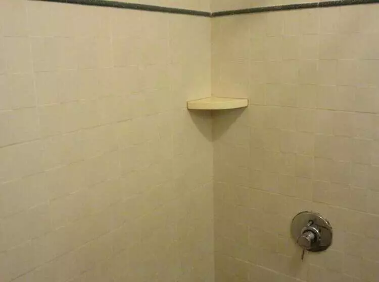 Fotos del hotel Suba Palace:  6