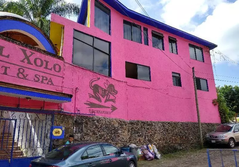 Fotos del hotel La Morada Del Xolo By Oyo Rooms:  6