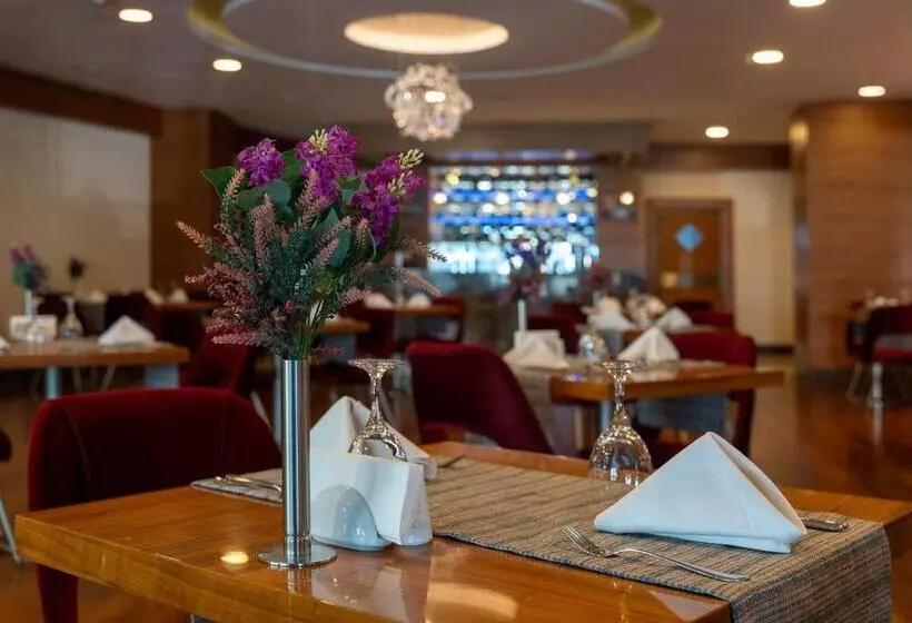 Fotos del hotel Ankara Plaza:  6