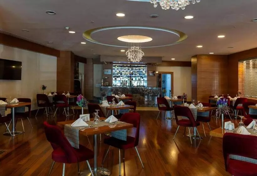 Fotos del hotel Ankara Plaza:  24