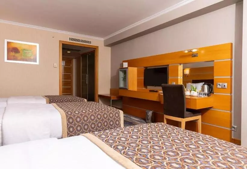 Fotos del hotel Ankara Plaza:  17