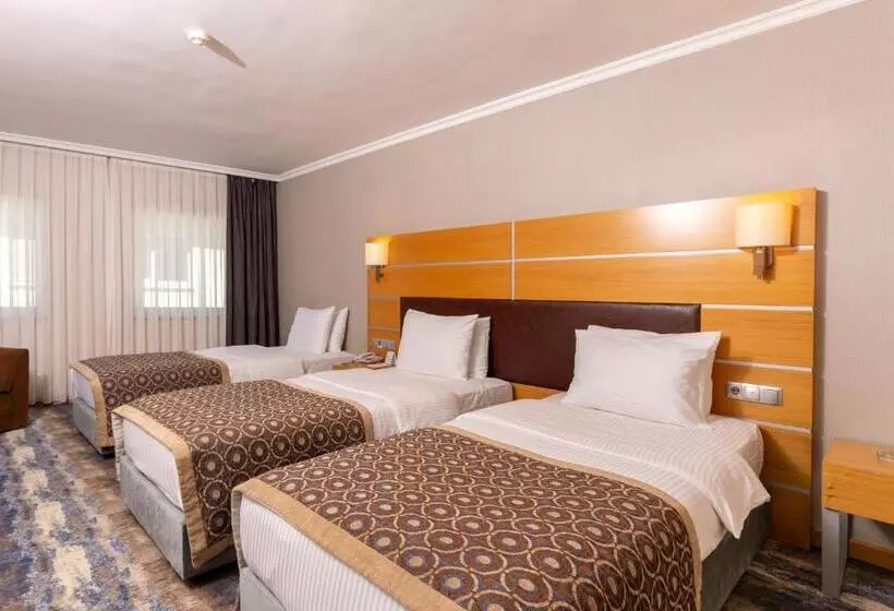 Fotos del hotel Ankara Plaza:  13