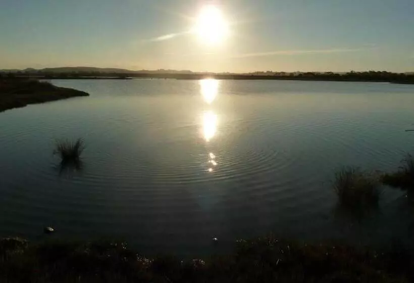 Fotos del hotel Albatross Motel:  3